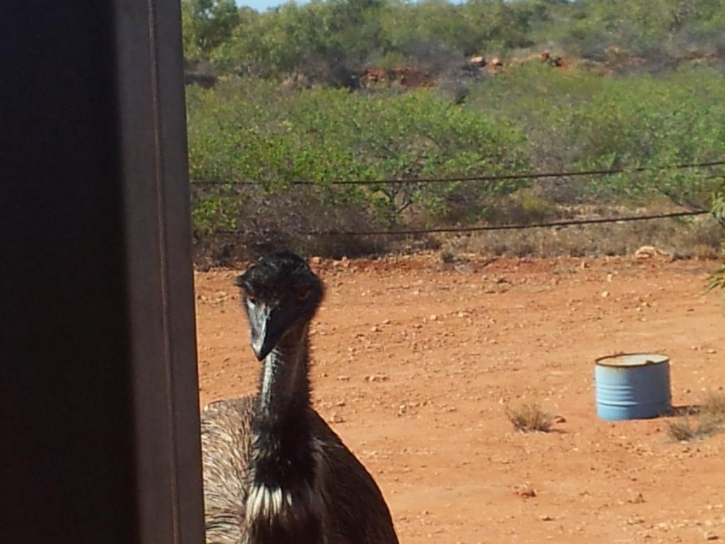 Ningaloo Bed And Breakfast Ексмут Екстер'єр фото